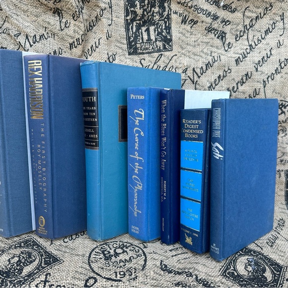 Blue Curated Designer Book Stack - Picture 5 of 10